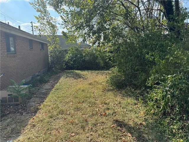 a view of a yard with plants and large trees