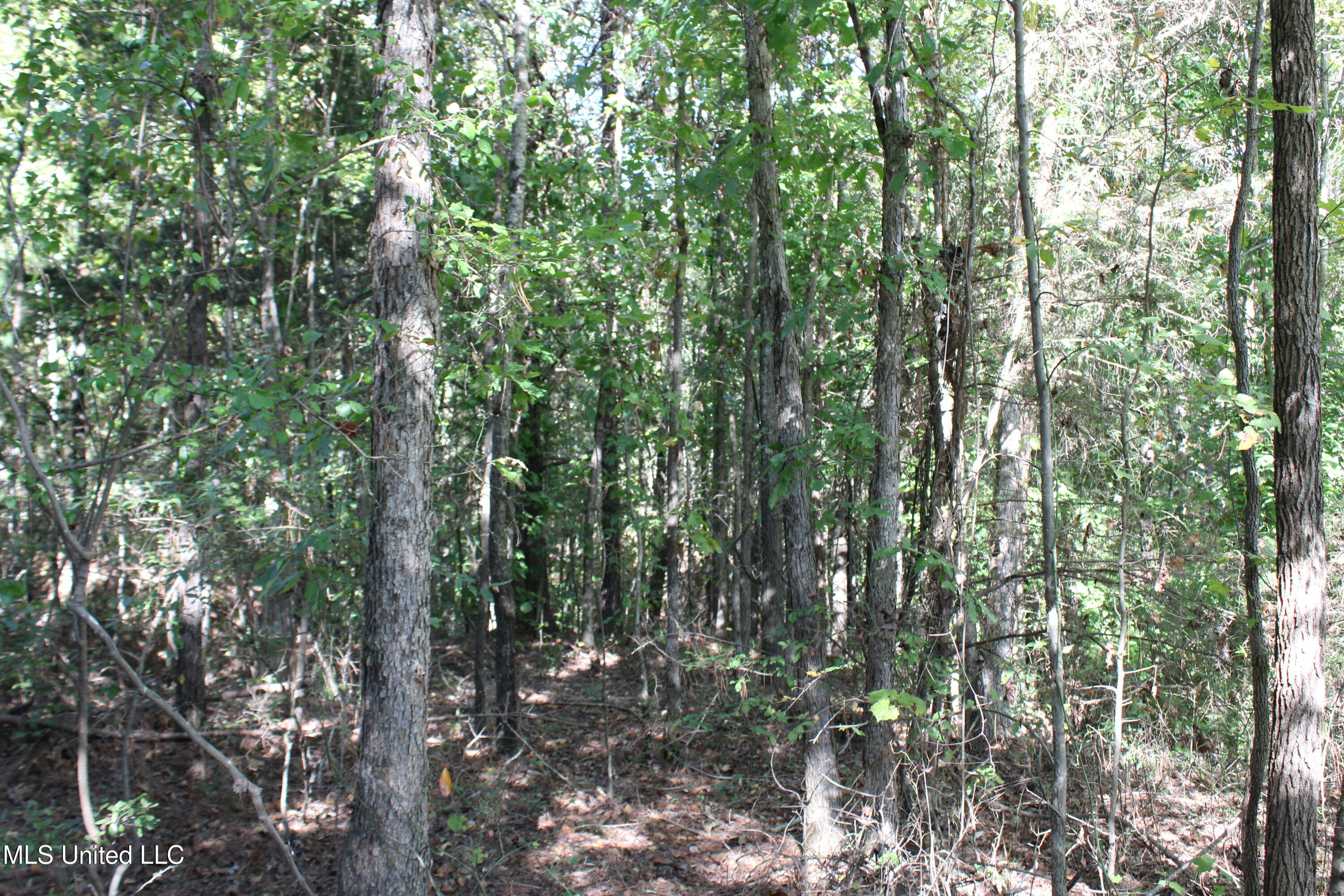 1507 Lower Gurley Road Potts Camp, MS 38659 - Photo 11 of 53 IMG_4789