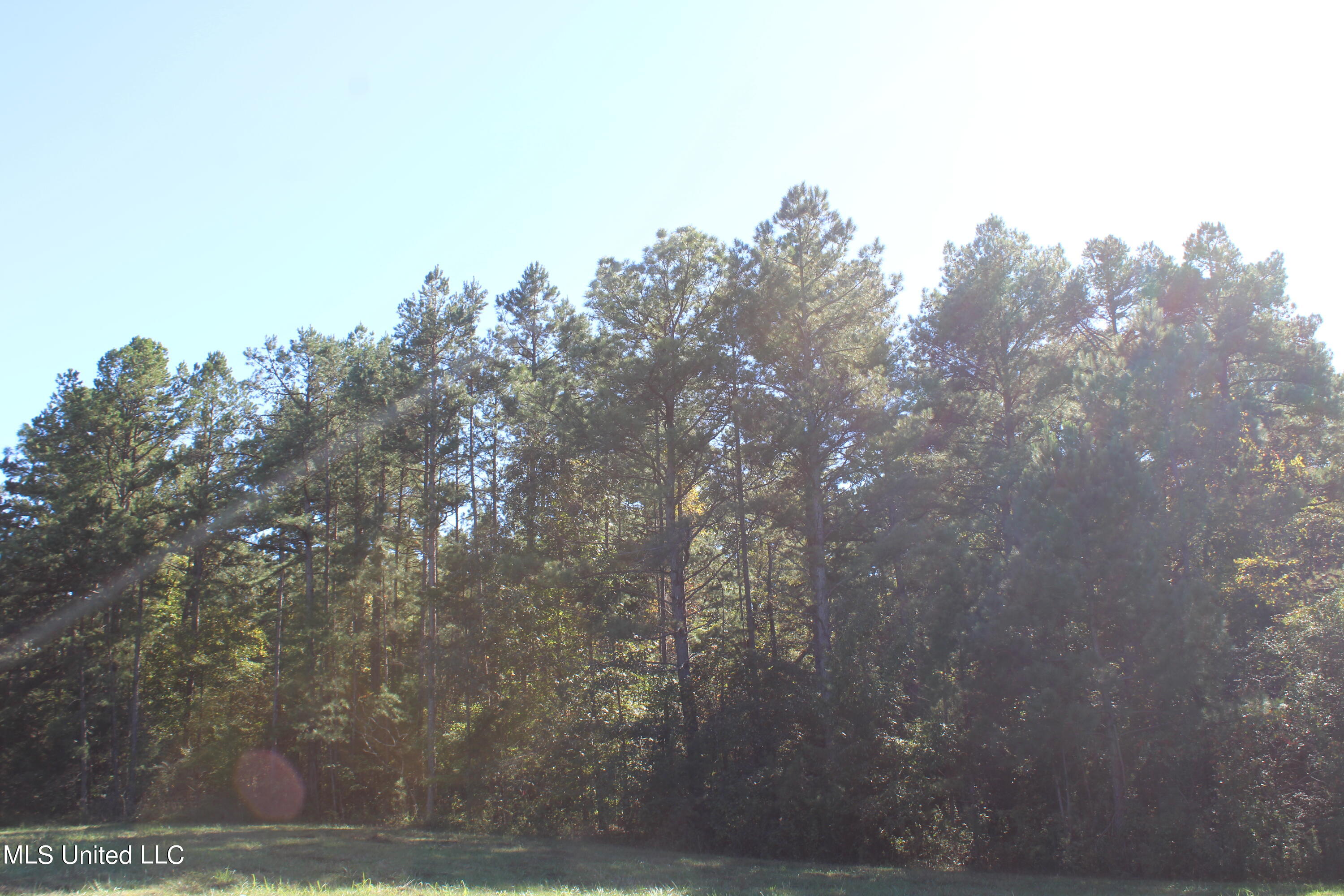 1507 Lower Gurley Road Potts Camp, MS 38659 - Photo 14 of 53 IMG_4792