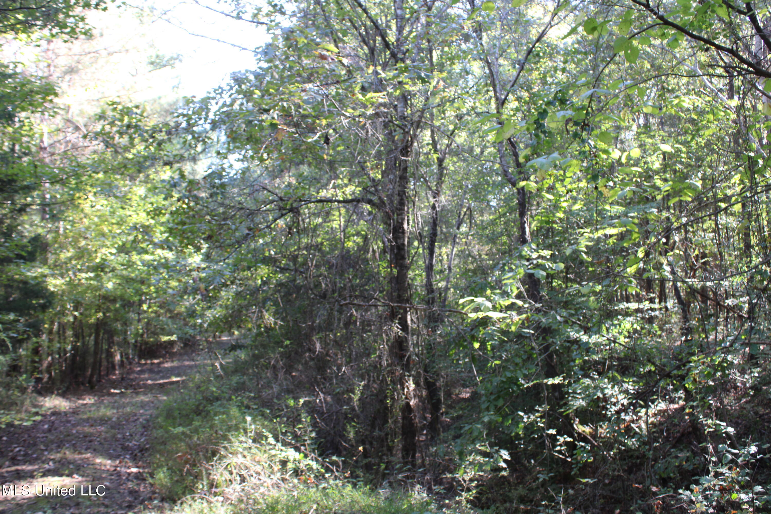 1507 Lower Gurley Road Potts Camp, MS 38659 - Photo 21 of 53 IMG_4808