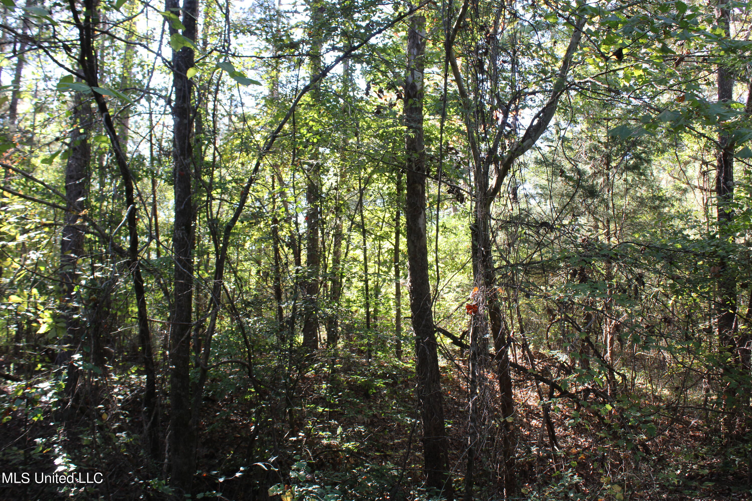 1507 Lower Gurley Road Potts Camp, MS 38659 - Photo 22 of 53 IMG_4809