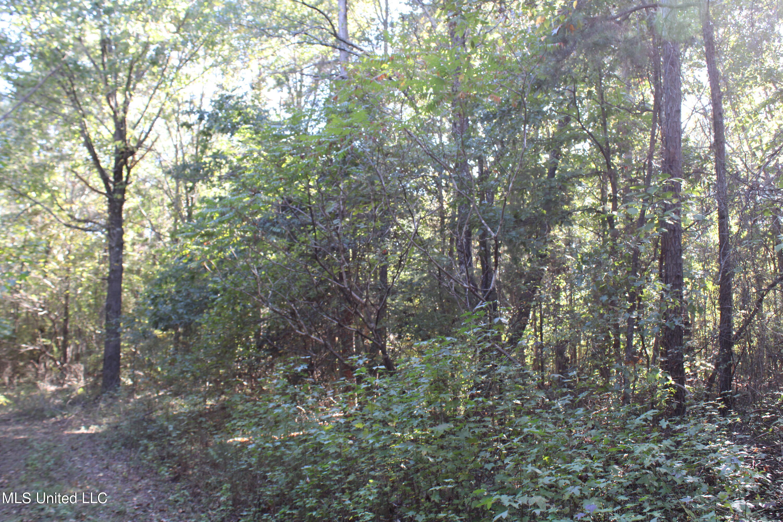 1507 Lower Gurley Road Potts Camp, MS 38659 - Photo 23 of 53 IMG_4810