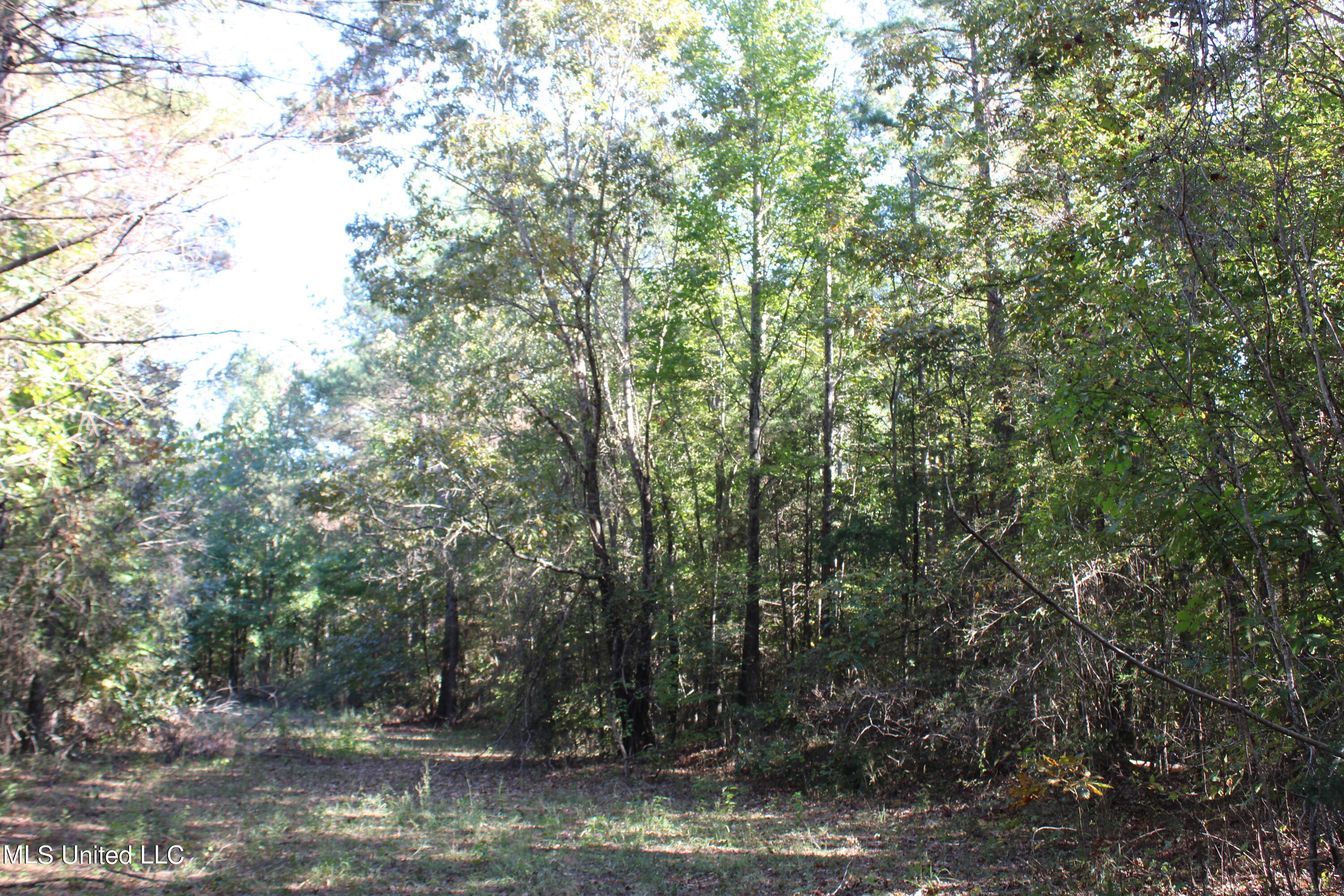 1507 Lower Gurley Road Potts Camp, MS 38659 - Photo 24 of 53 IMG_4812