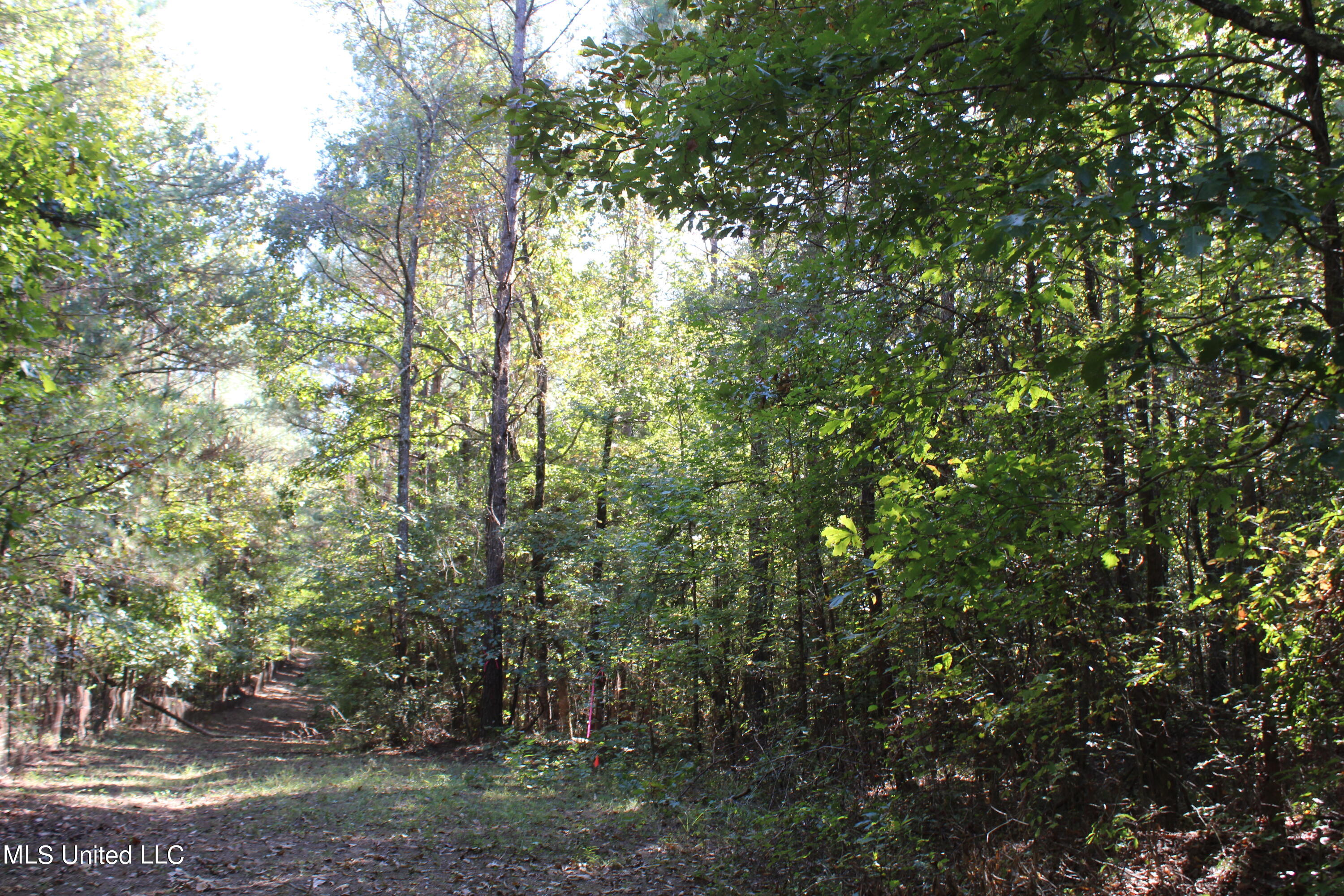 1507 Lower Gurley Road Potts Camp, MS 38659 - Photo 25 of 53 IMG_4814