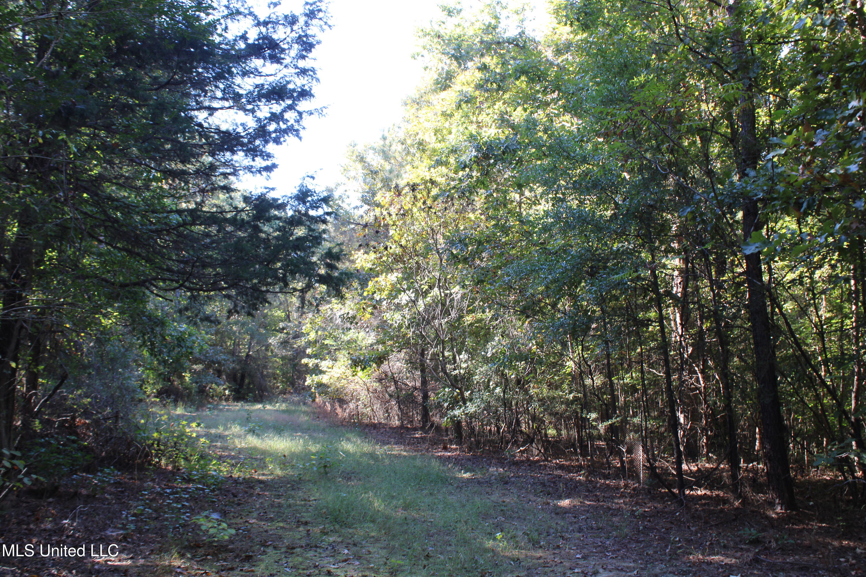 1507 Lower Gurley Road Potts Camp, MS 38659 - Photo 26 of 53 IMG_4815