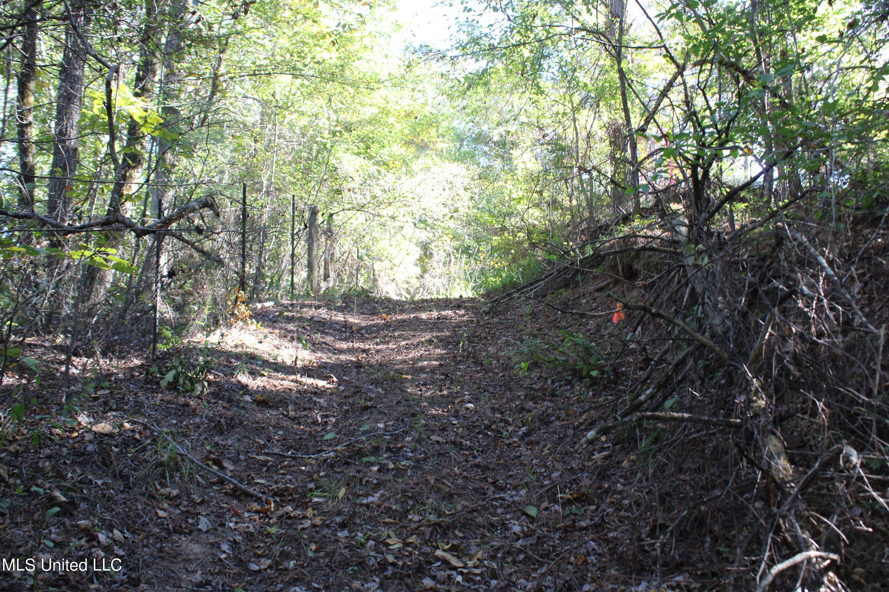 1507 Lower Gurley Road Potts Camp, MS 38659 - Photo 28 of 53 IMG_4818