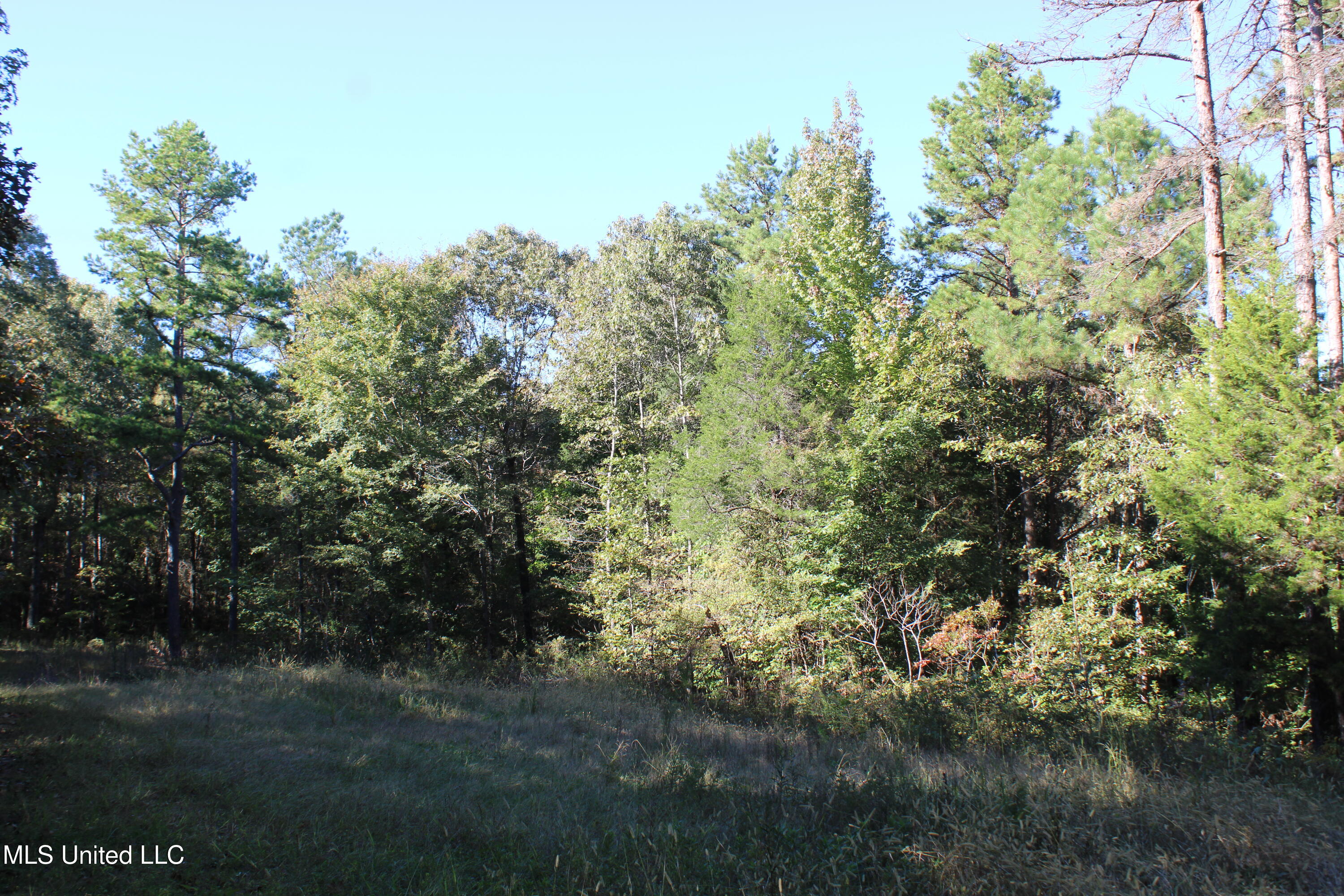 1507 Lower Gurley Road Potts Camp, MS 38659 - Photo 29 of 53 IMG_4820