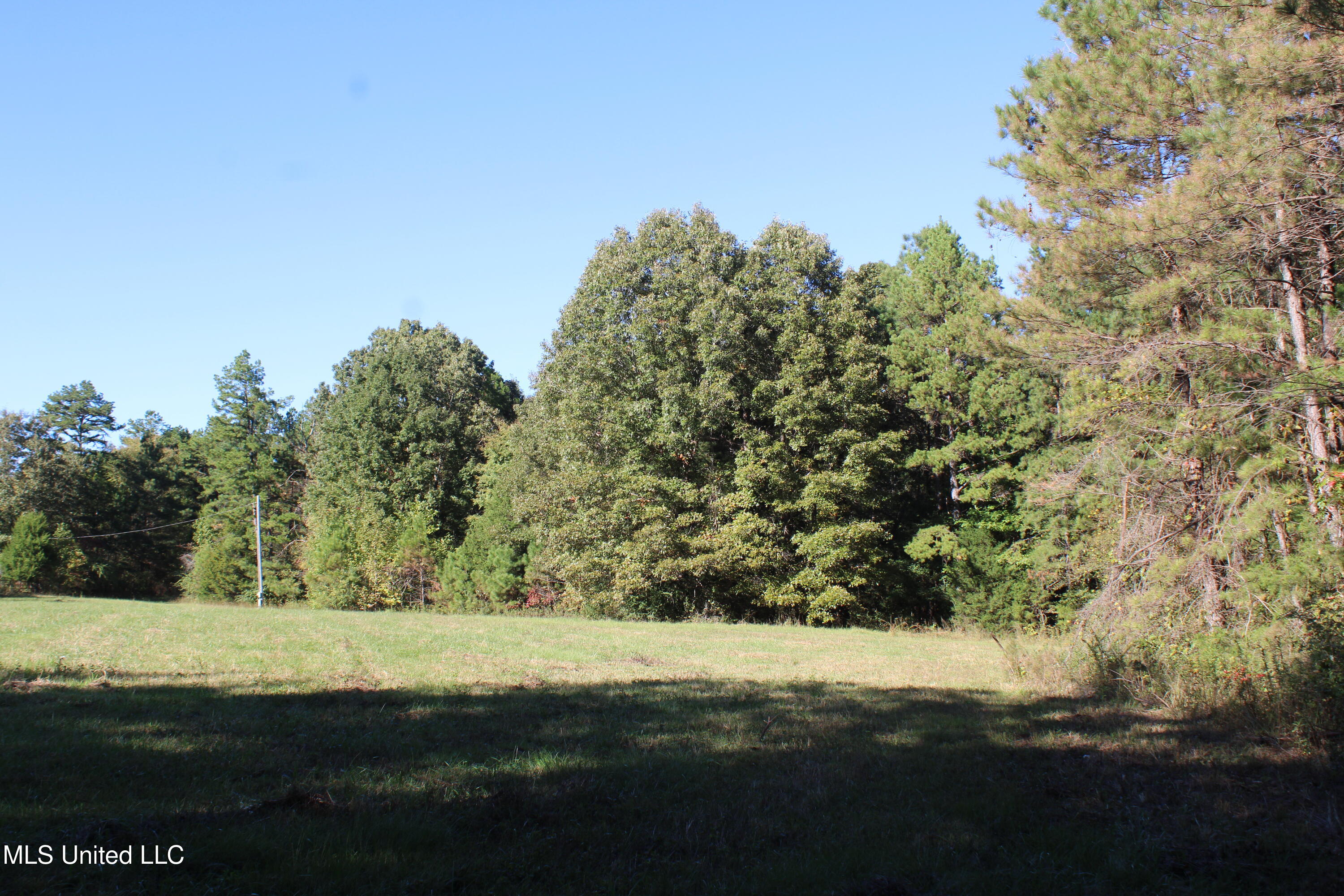 1507 Lower Gurley Road Potts Camp, MS 38659 - Photo 30 of 53 IMG_4823