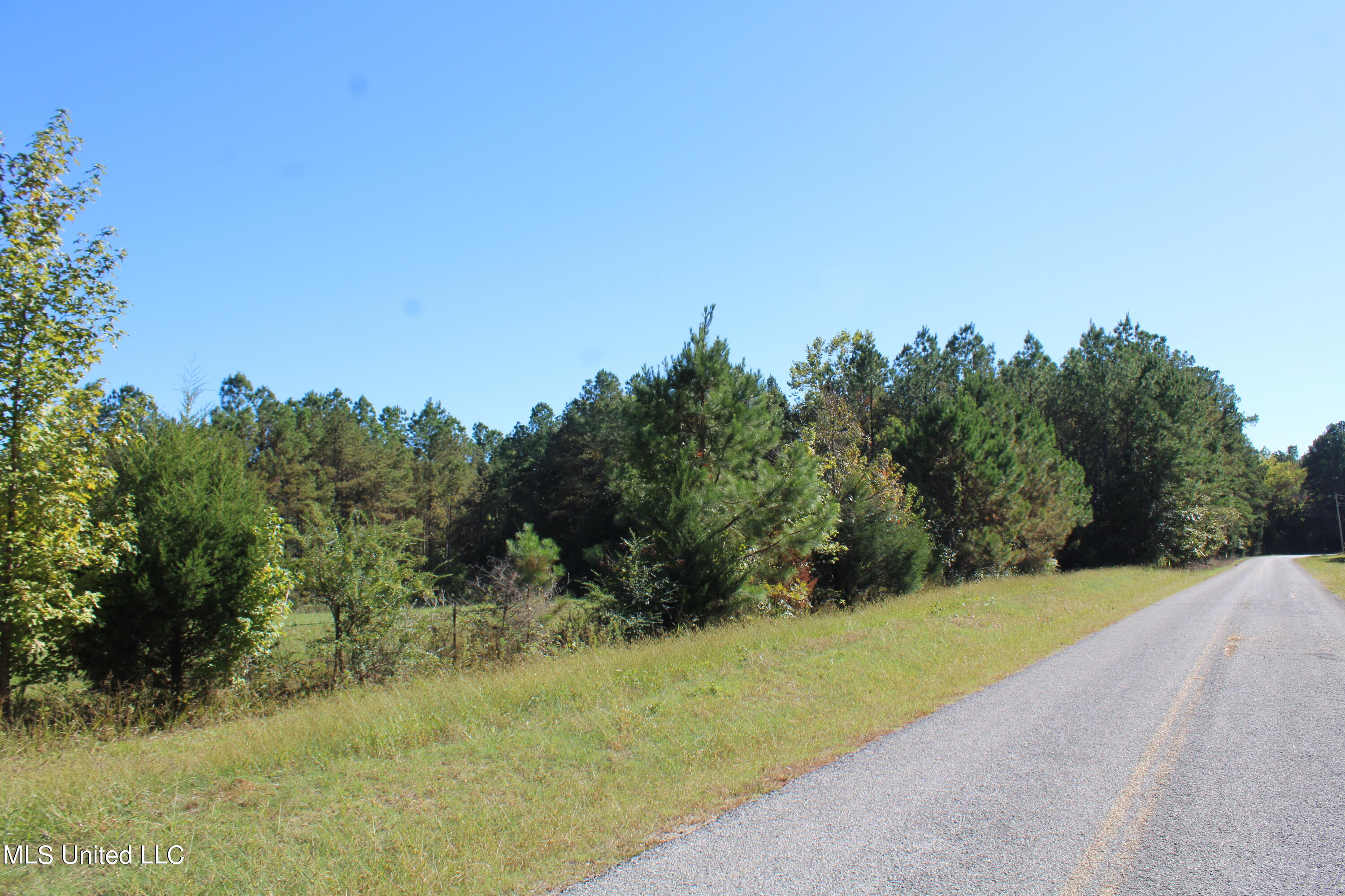 1507 Lower Gurley Road Potts Camp, MS 38659 - Photo 3 of 53 IMG_4779