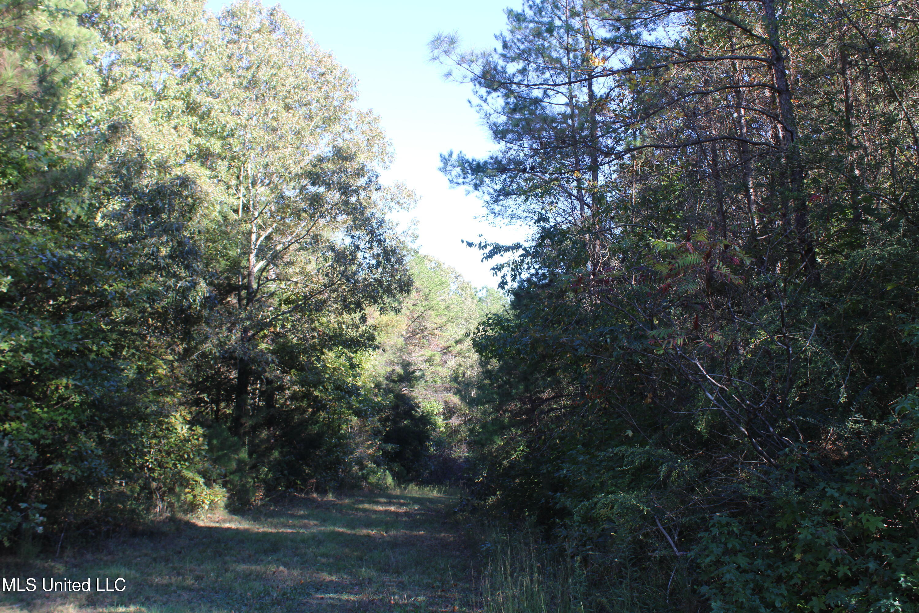 1507 Lower Gurley Road Potts Camp, MS 38659 - Photo 31 of 53 IMG_4824