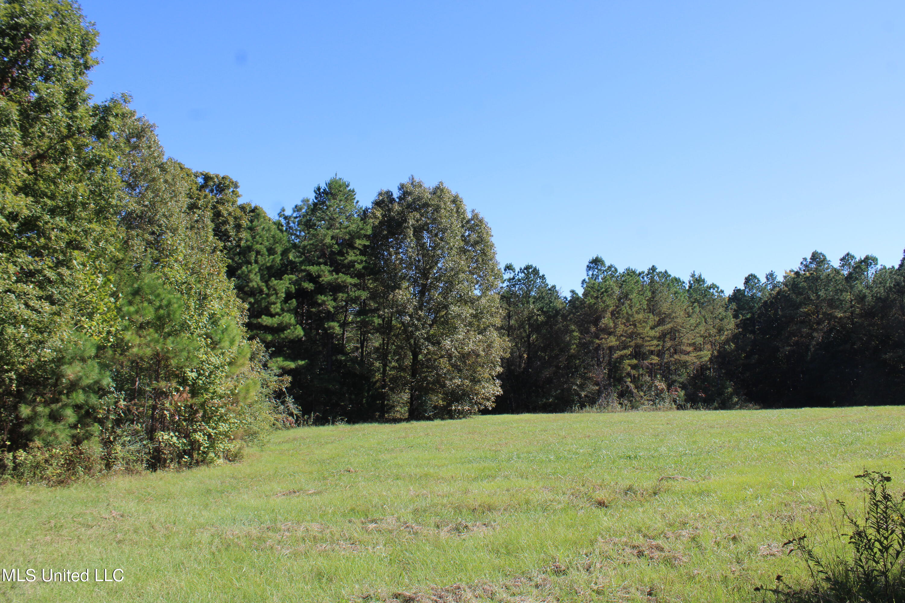1507 Lower Gurley Road Potts Camp, MS 38659 - Photo 4 of 53 IMG_4781