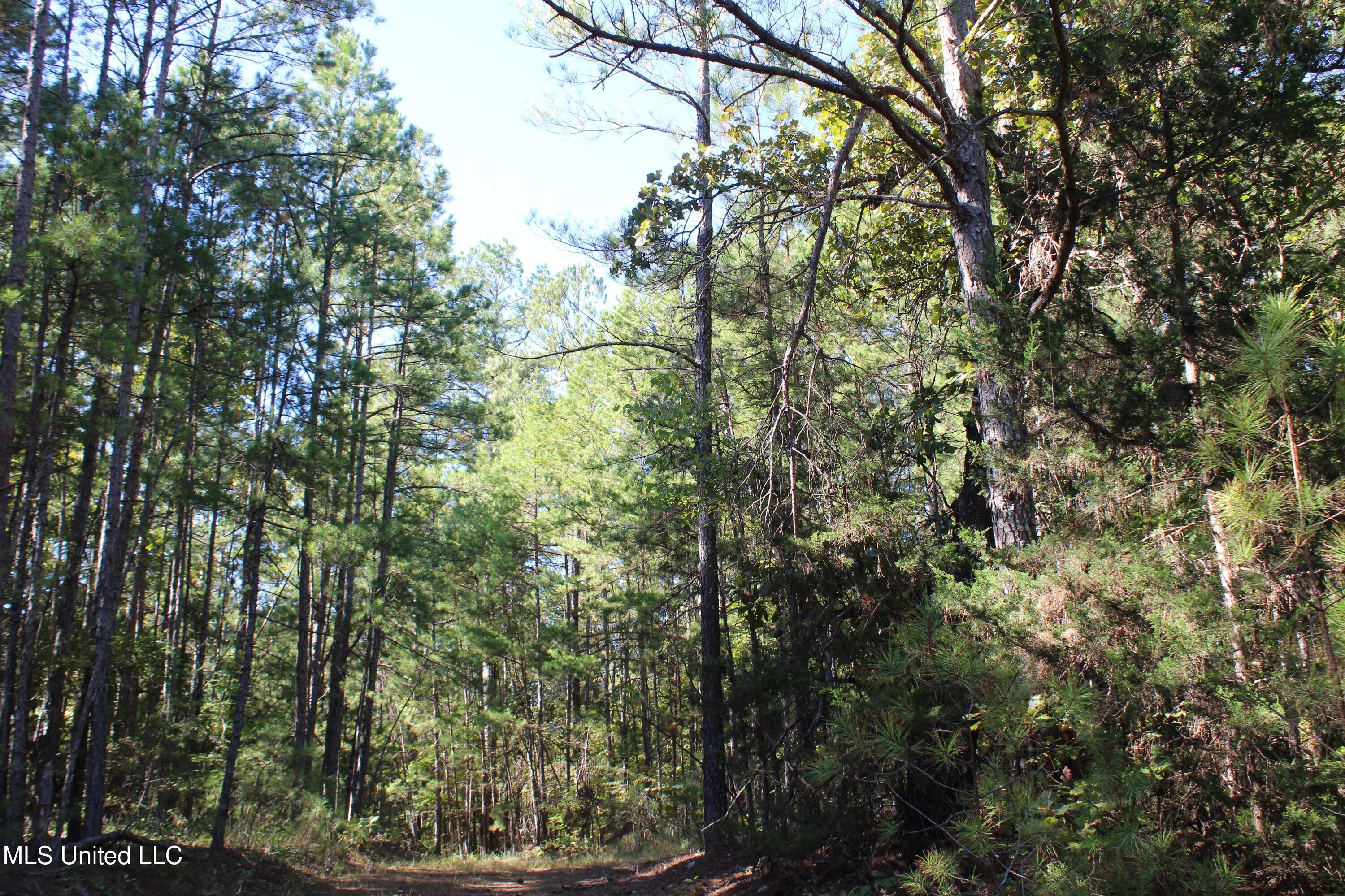 1507 Lower Gurley Road Potts Camp, MS 38659 - Photo 43 of 53 IMG_4799