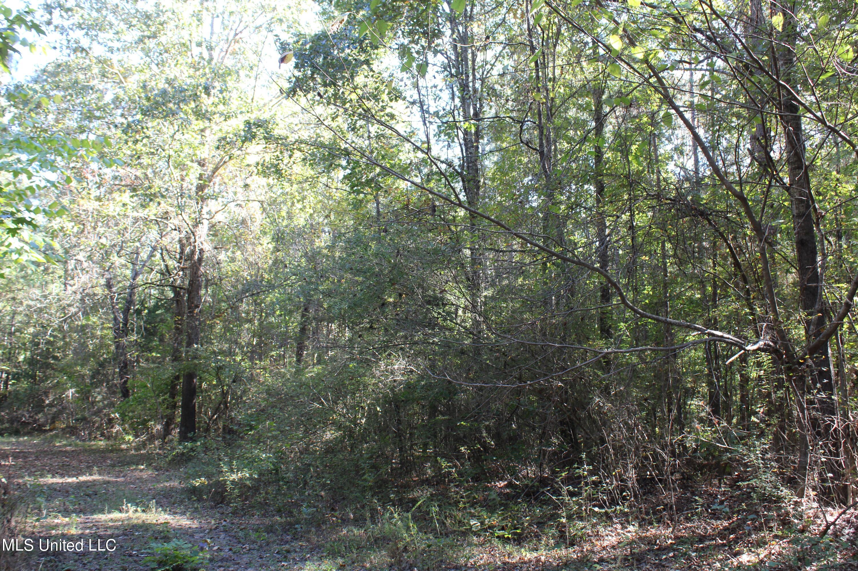1507 Lower Gurley Road Potts Camp, MS 38659 - Photo 48 of 53 IMG_4811