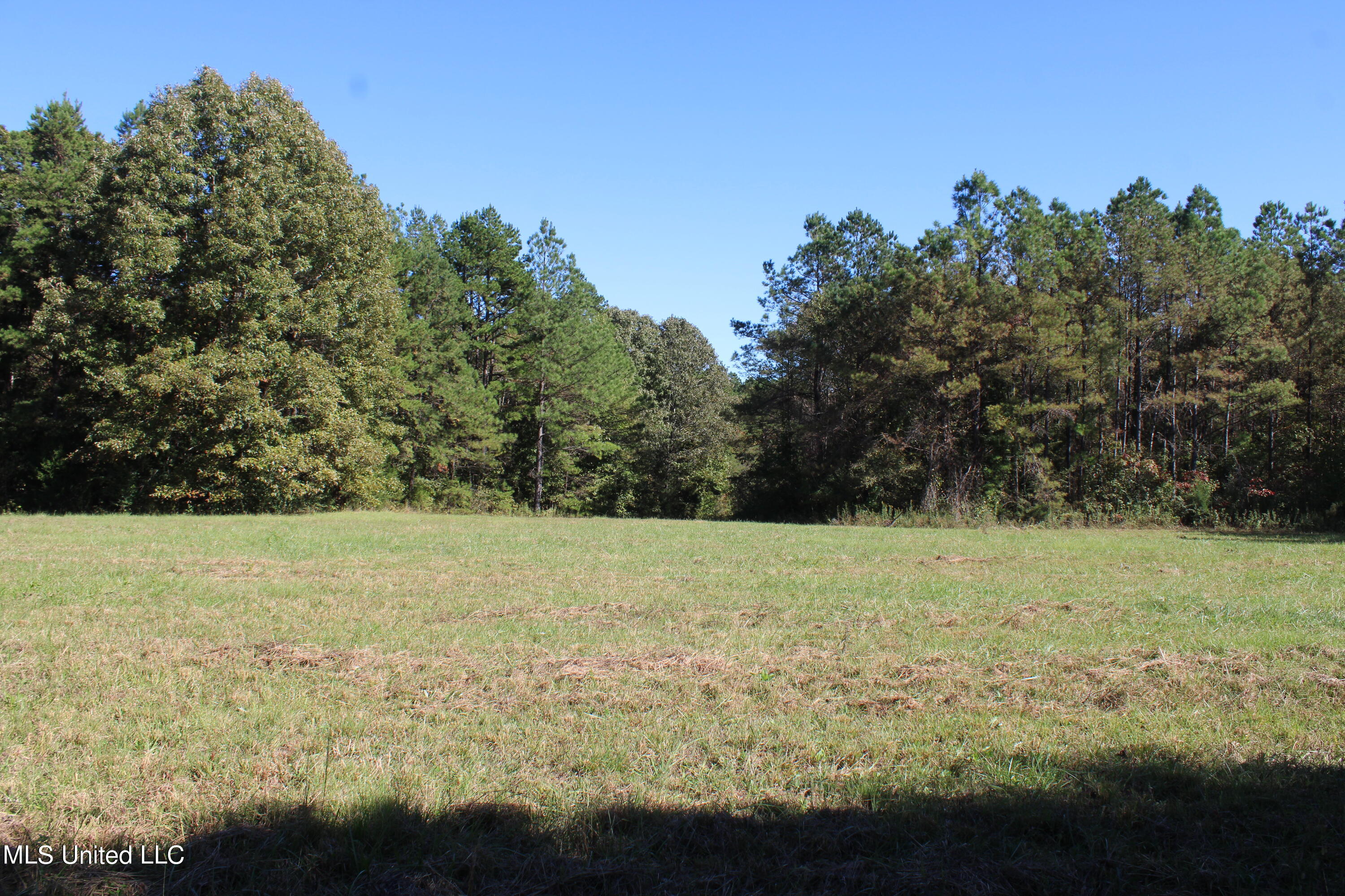 1507 Lower Gurley Road Potts Camp, MS 38659 - Photo 5 of 53 IMG_4783