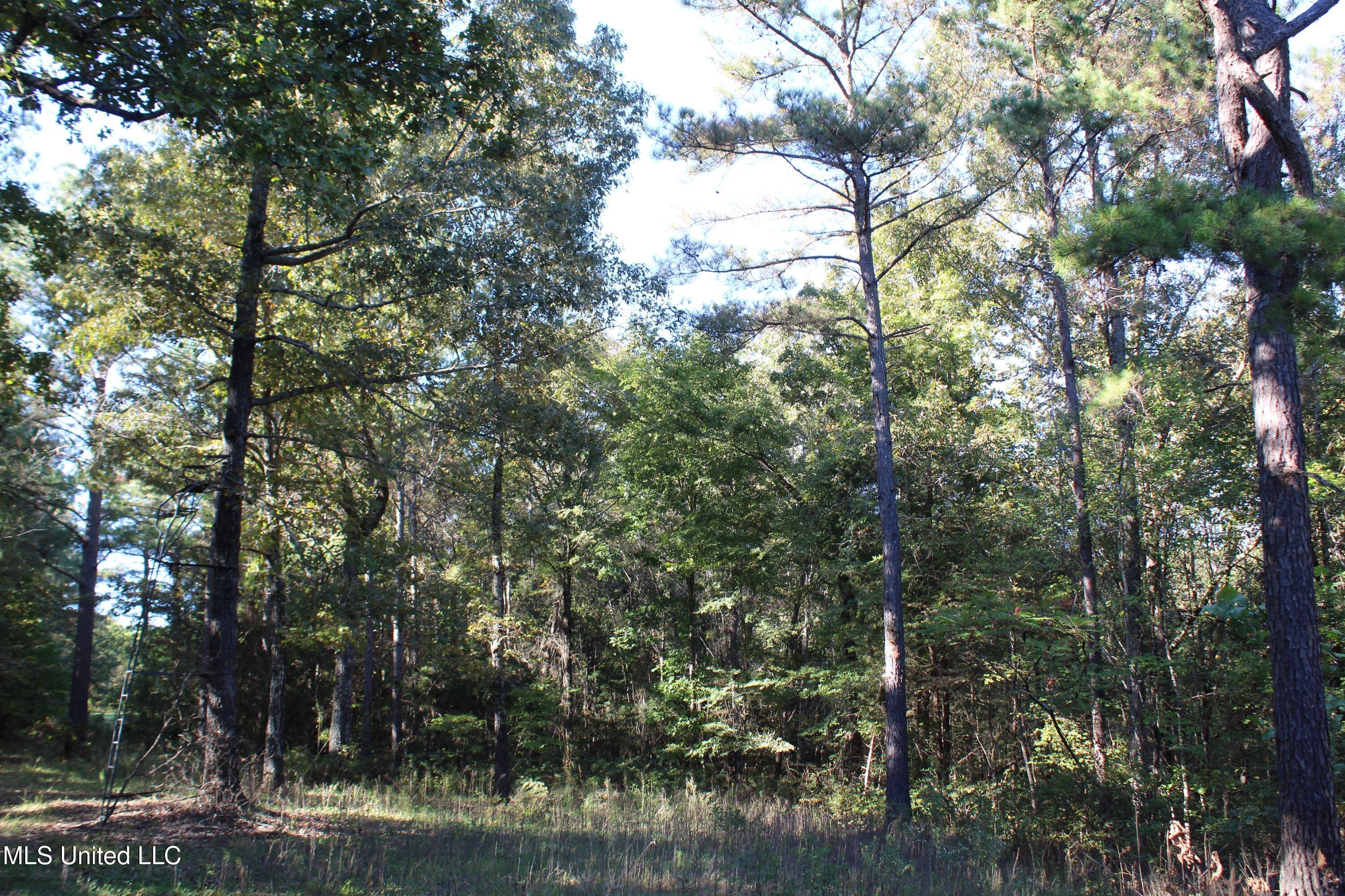 1507 Lower Gurley Road Potts Camp, MS 38659 - Photo 51 of 53 IMG_4821