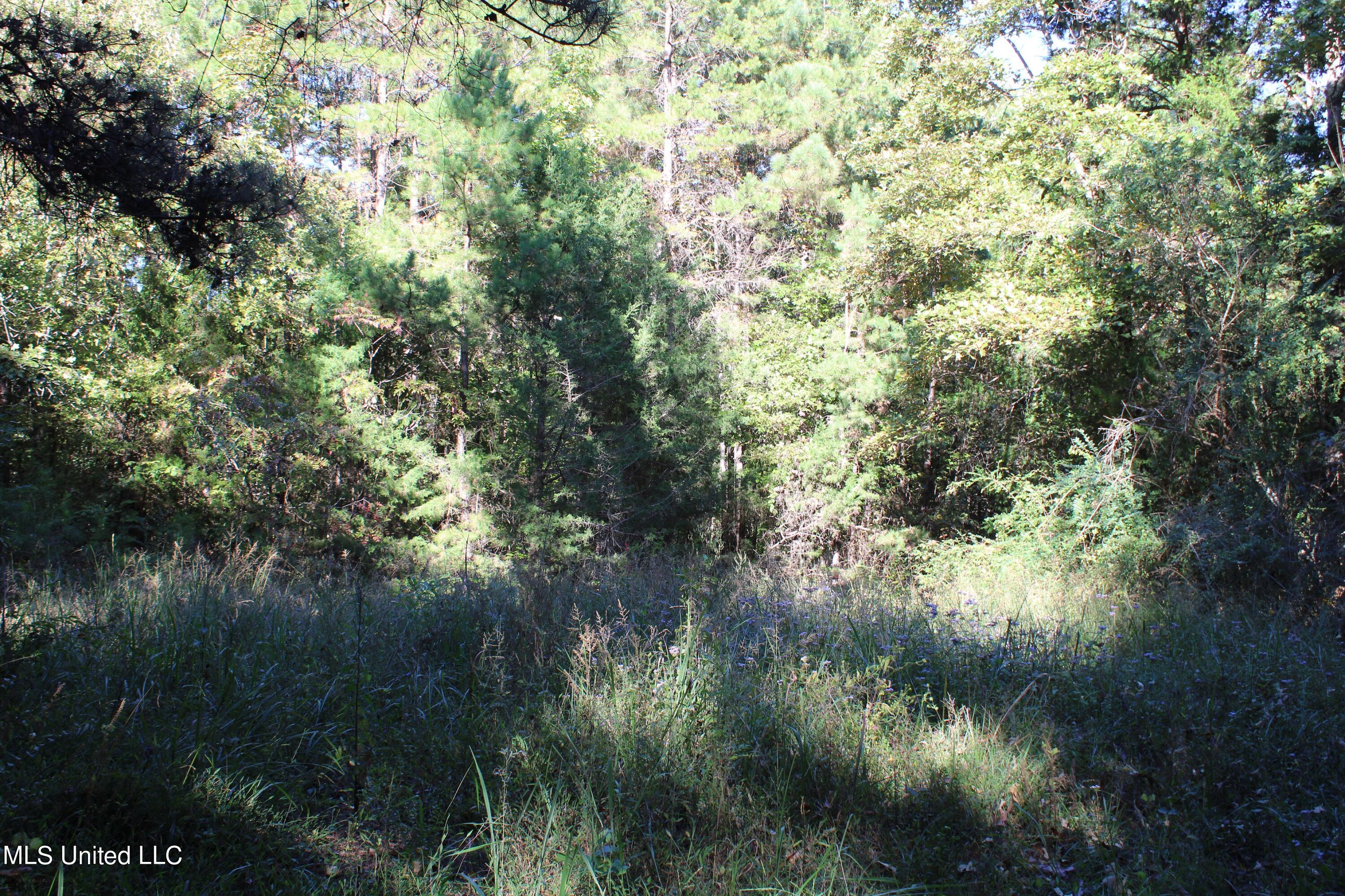 1507 Lower Gurley Road Potts Camp, MS 38659 - Photo 53 of 53 IMG_4827