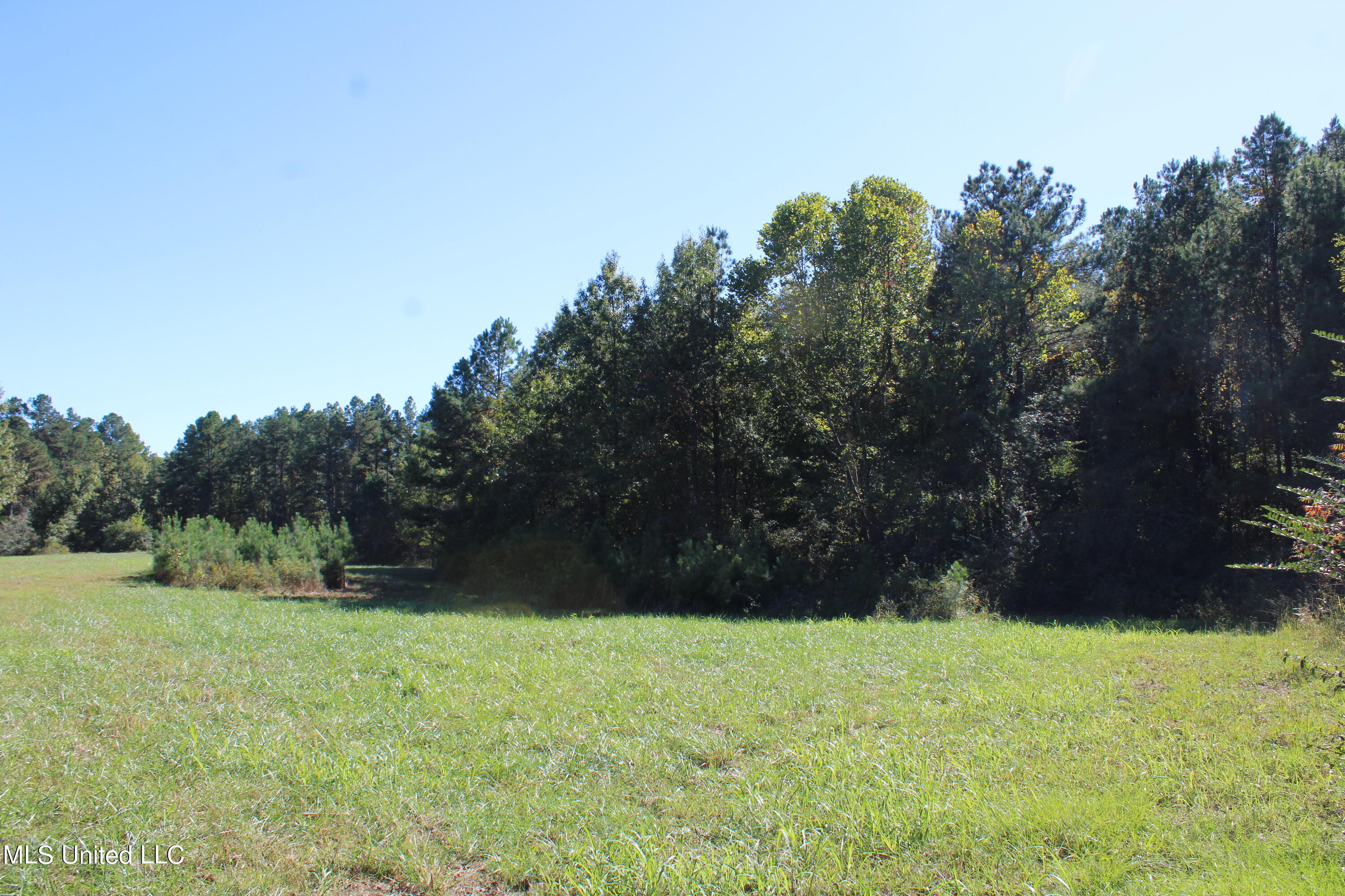1507 Lower Gurley Road Potts Camp, MS 38659 - Photo 9 of 53 IMG_4787