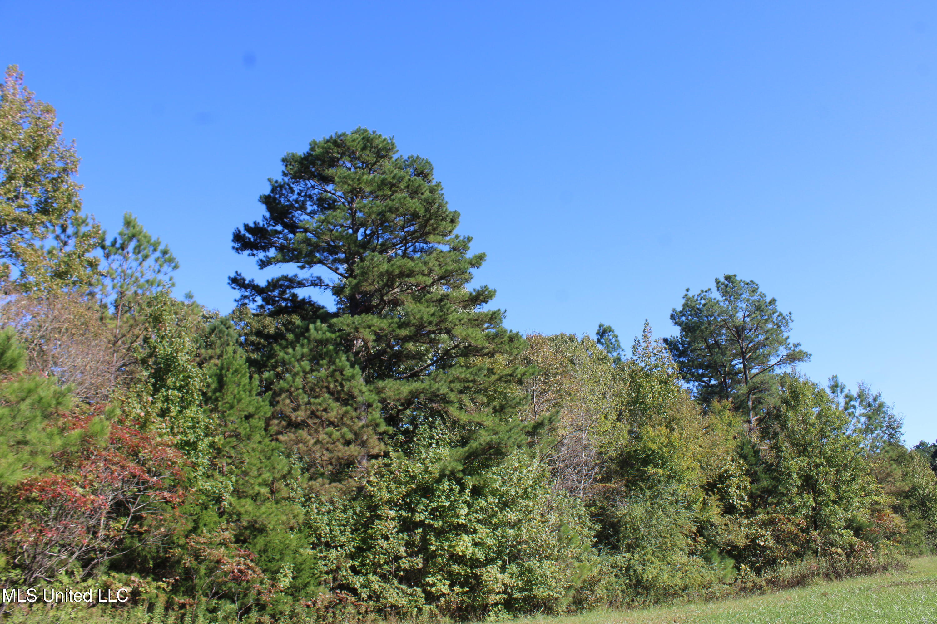 1507 Lower Gurley Road Potts Camp, MS 38659 - Photo 10 of 53 IMG_4788