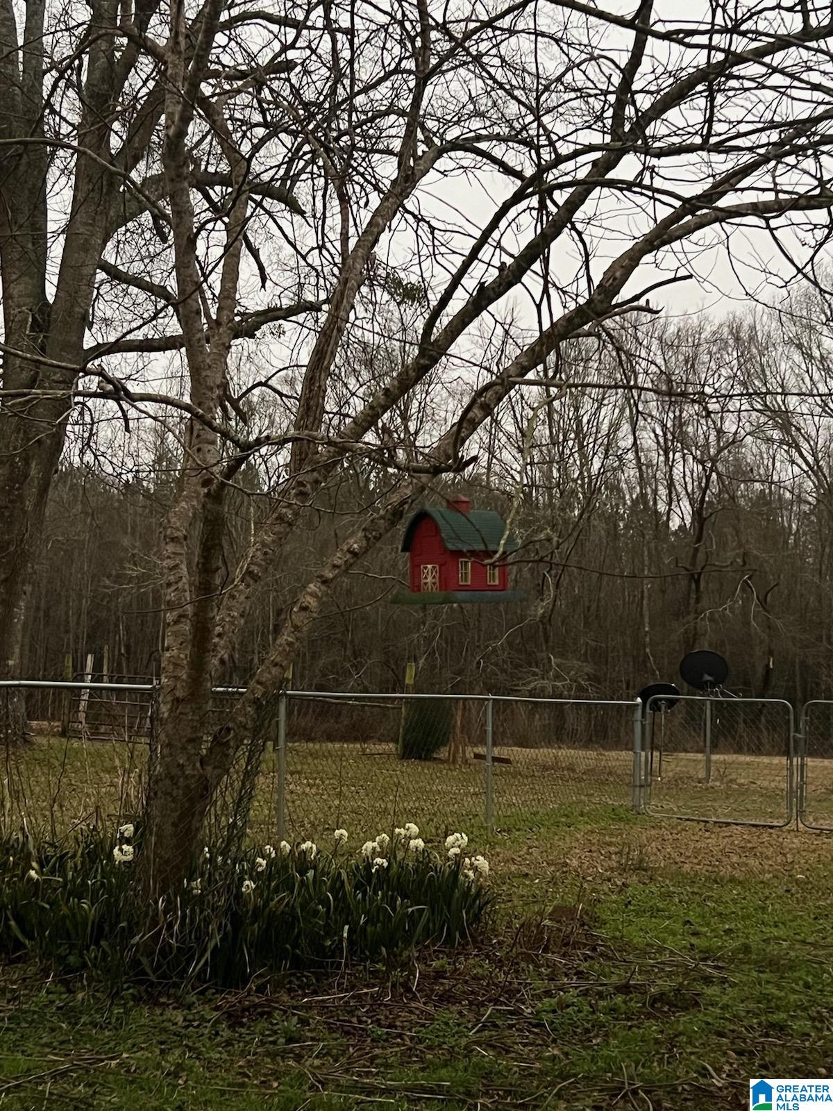 4432 County Road 11 Repton, AL 36475 - Photo 6 of 15