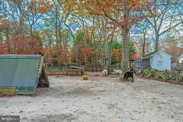 a view of backyard with wooden fence and a large tree