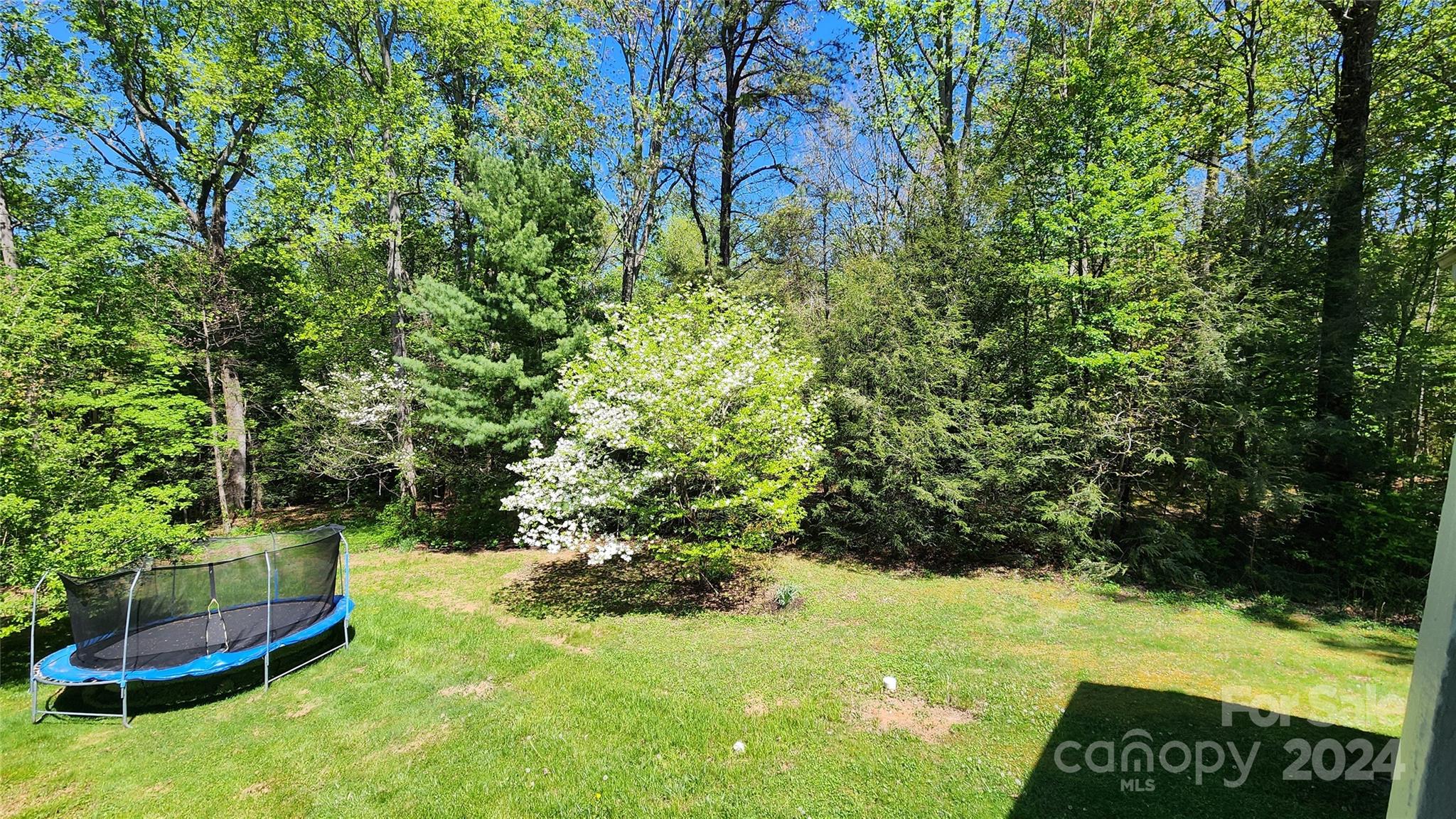 117 Fairmont Road Candler, NC 28715 - Photo 6 of 24 Gallery Image 6