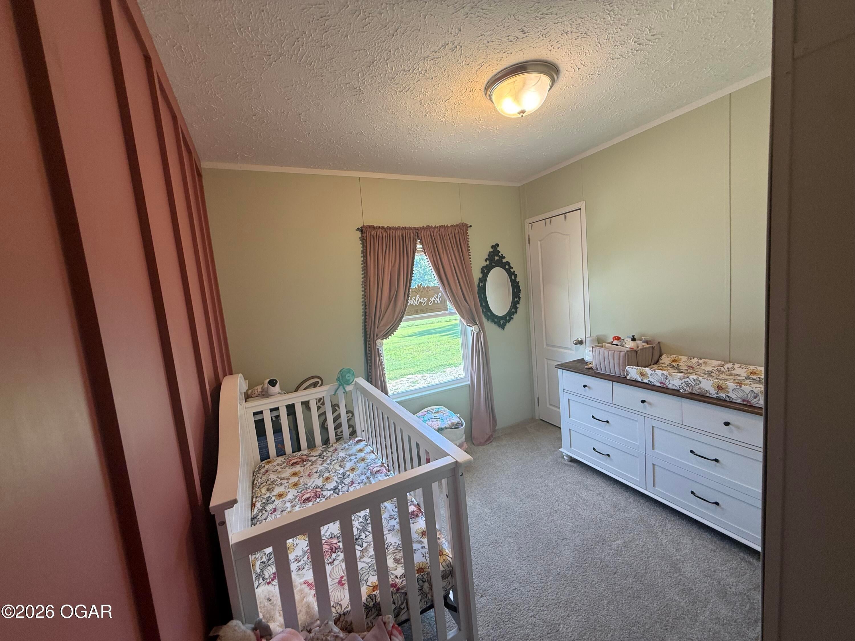 6731 Raccoon Road Pierce City, MO 65723 - Photo 70 of 103 Gallery Image 70