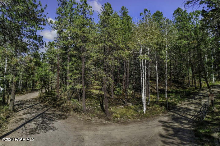 0 South Comstock Mine Road Prescott, AZ 86303 - Photo 12 of 19 a view of a forest with trees in the background