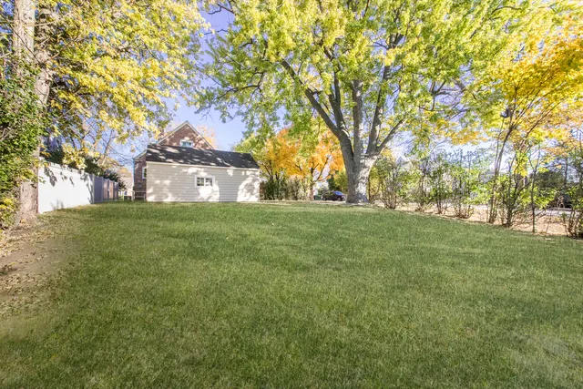 a view of yard with trees