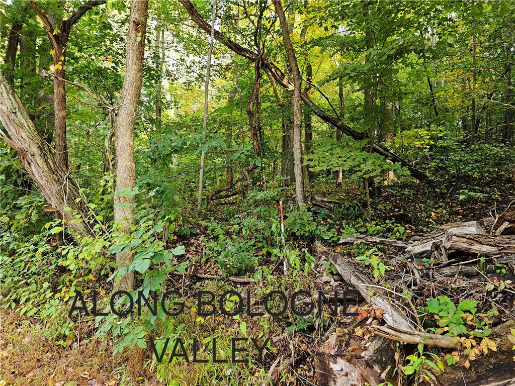 0 Bologne Valley Road Beaver Falls, PA 15010 - Photo 3 of 10