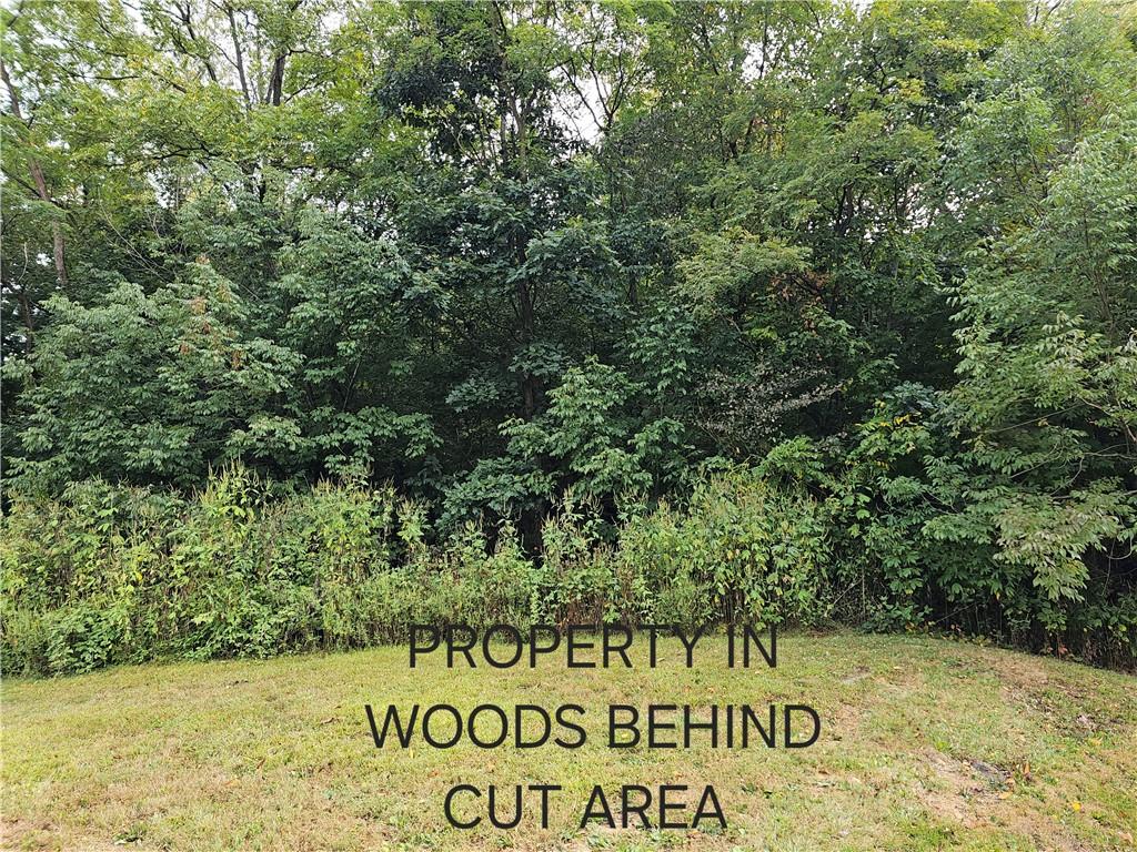 0 Bologne Valley Road Beaver Falls, PA 15010 - Photo 5 of 10 a sign of golf club on a wall