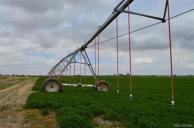 a view of an outdoor space and yard