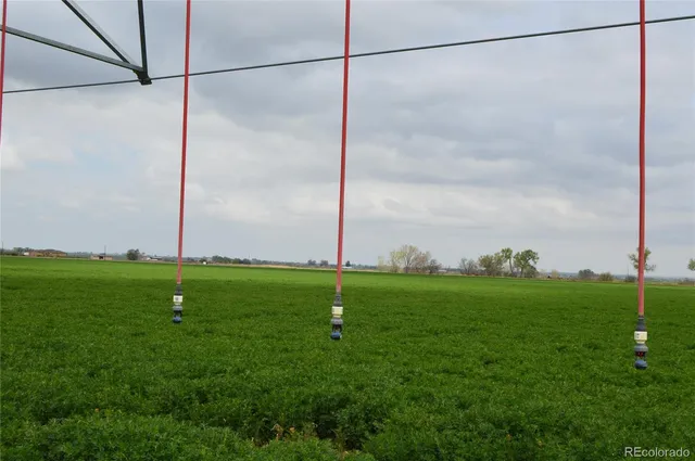 a view of a field with a tree in the background