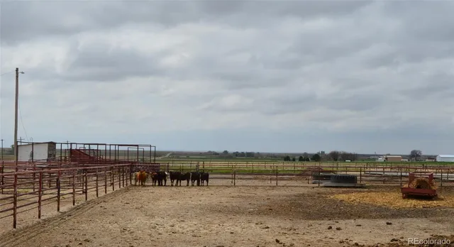 a view of swimming pool with outdoor seating and lake
