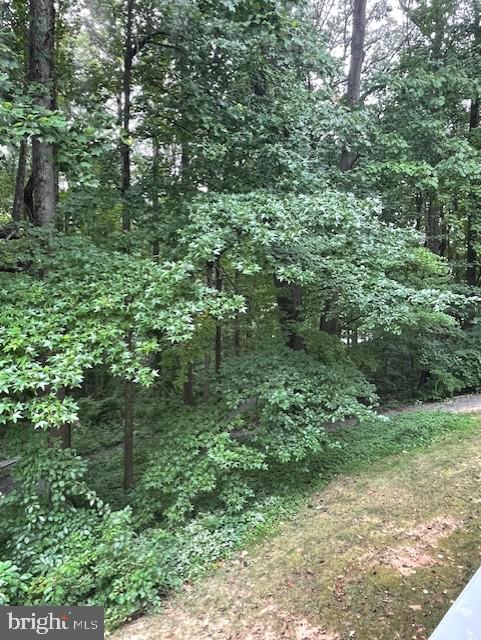 5900 Cove Landing Road, Unit 202 Burke, VA 22015 - Photo 8 of 30 View from the balcony