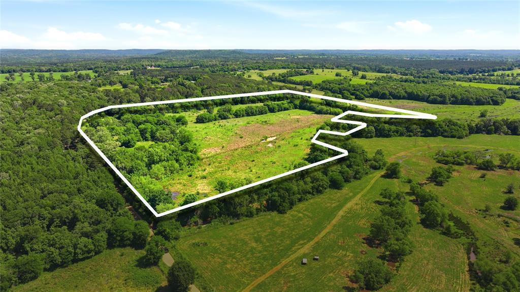 4091 County Road 2206 Rusk, TX 75785 - Photo 2 of 12