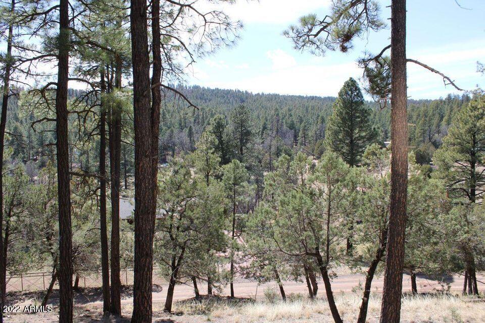 183 Running Elk Road, Unit D Payson, AZ 85541 - Photo 1 of 18 1