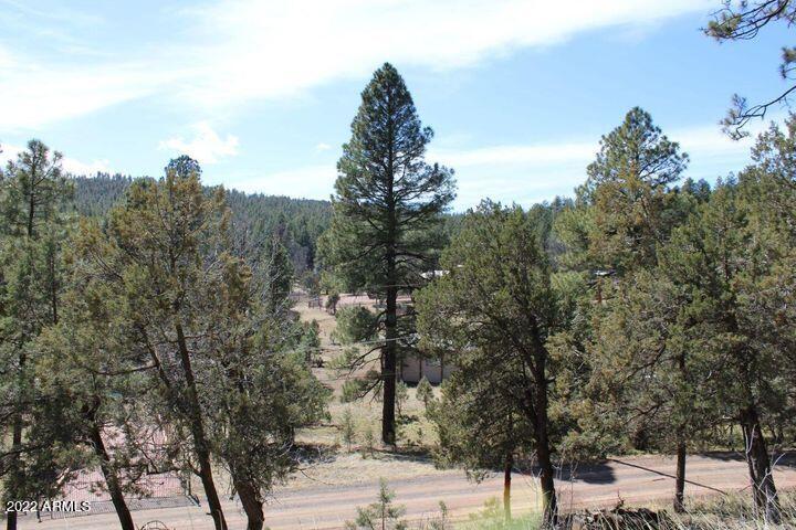 183 Running Elk Road, Unit D Payson, AZ 85541 - Photo 5 of 18 5