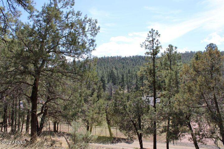 183 Running Elk Road, Unit D Payson, AZ 85541 - Photo 6 of 18 6