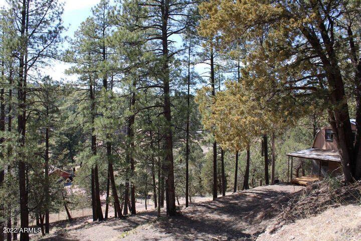 183 Running Elk Road, Unit D Payson, AZ 85541 - Photo 9 of 18 9
