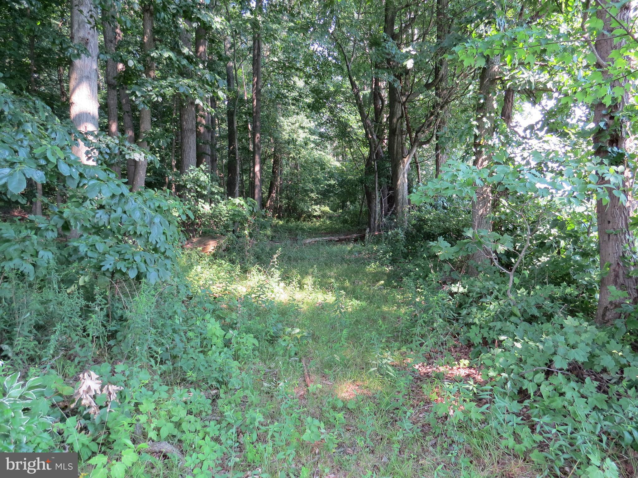 2949 Warehime Road Manchester, MD 21102 - Photo 33 of 38