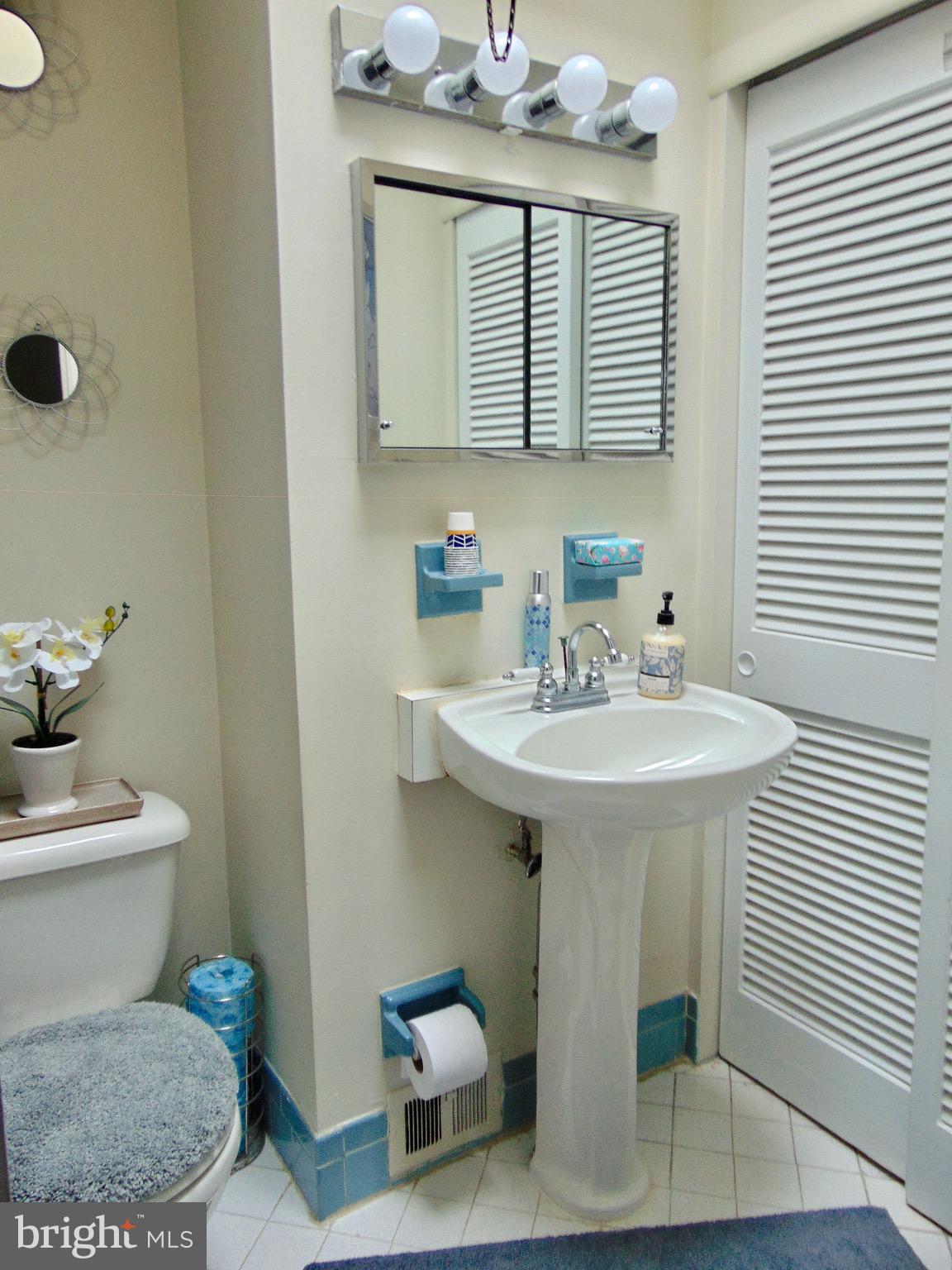 746 Selmer Road Philadelphia, PA 19116 - Photo 20 of 28 main bathroom