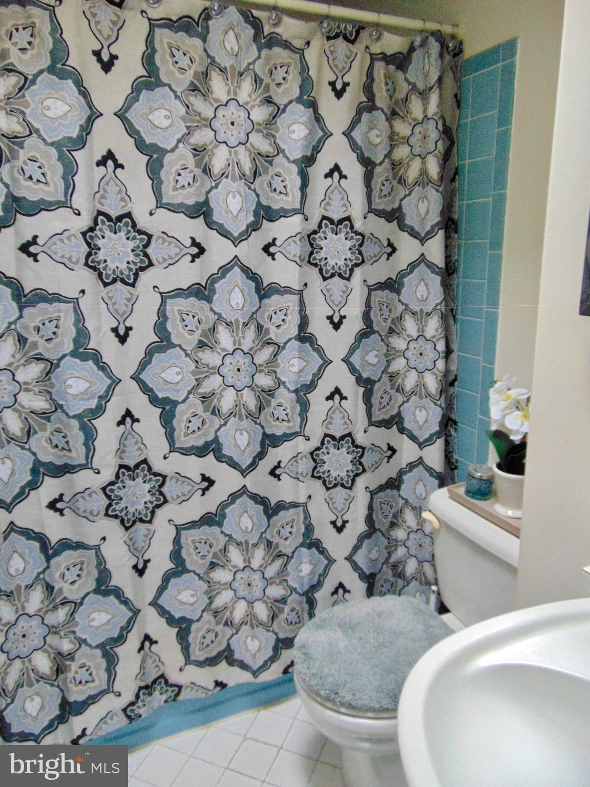 746 Selmer Road Philadelphia, PA 19116 - Photo 21 of 28 main bathroom