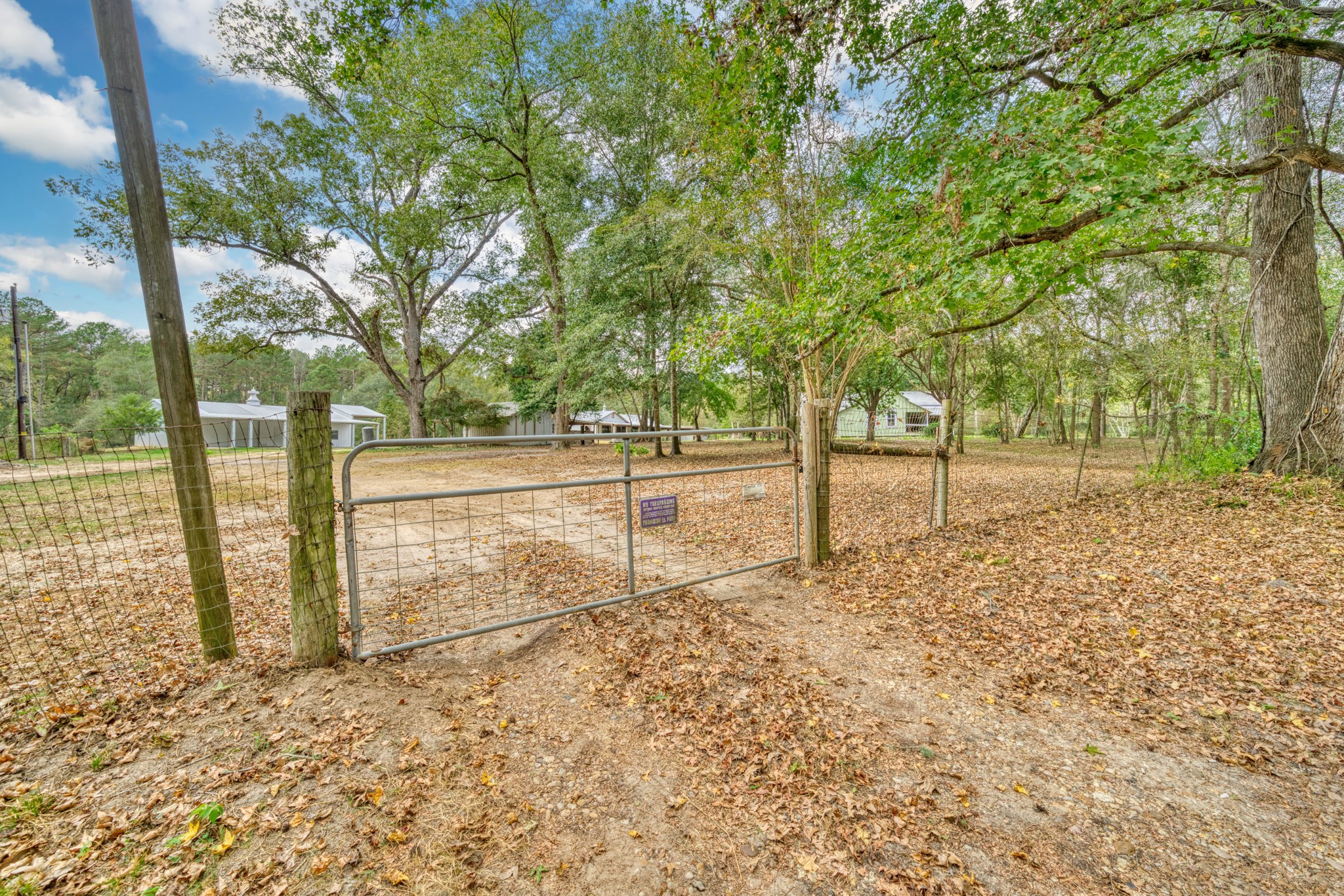 23405 Martha Williams Road Montgomery, TX 77356 - Photo 7 of 45 a view of a yard with large trees