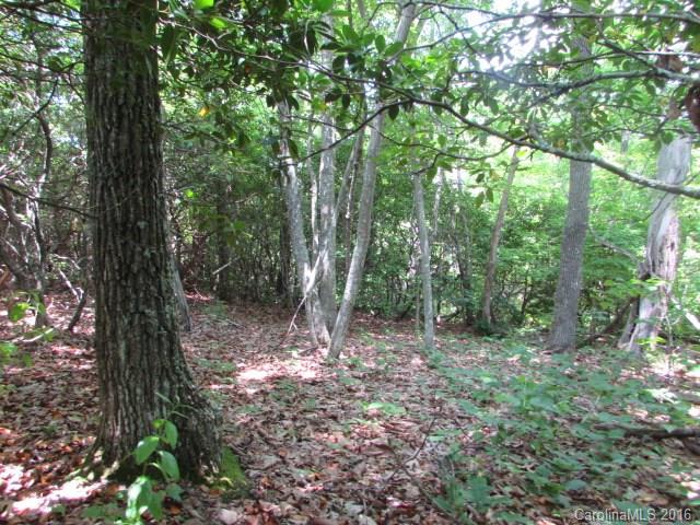 Lot#12 Walker Ridge Road Spruce Pine, NC 28777 - Photo 3 of 15 Gallery Image 3