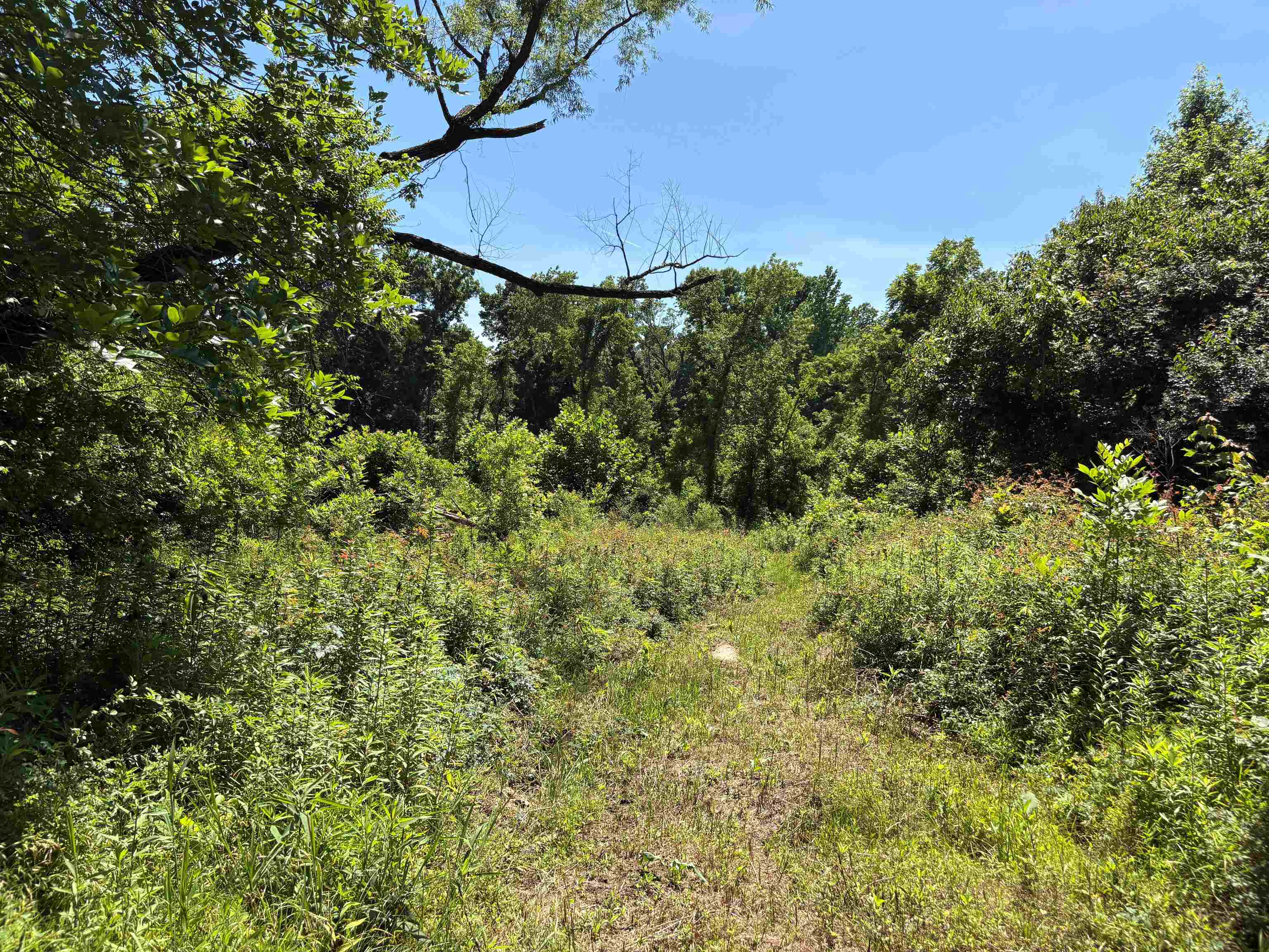 0 Walsh Road, Unit LOT 2 Millington, TN 38053 - Photo 3 of 9