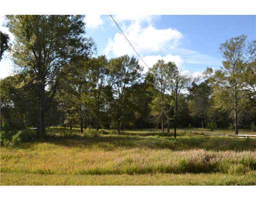 149 Andy And Dave Road Lucedale, MS 39452 - Photo 10 of 25 Additional Photo