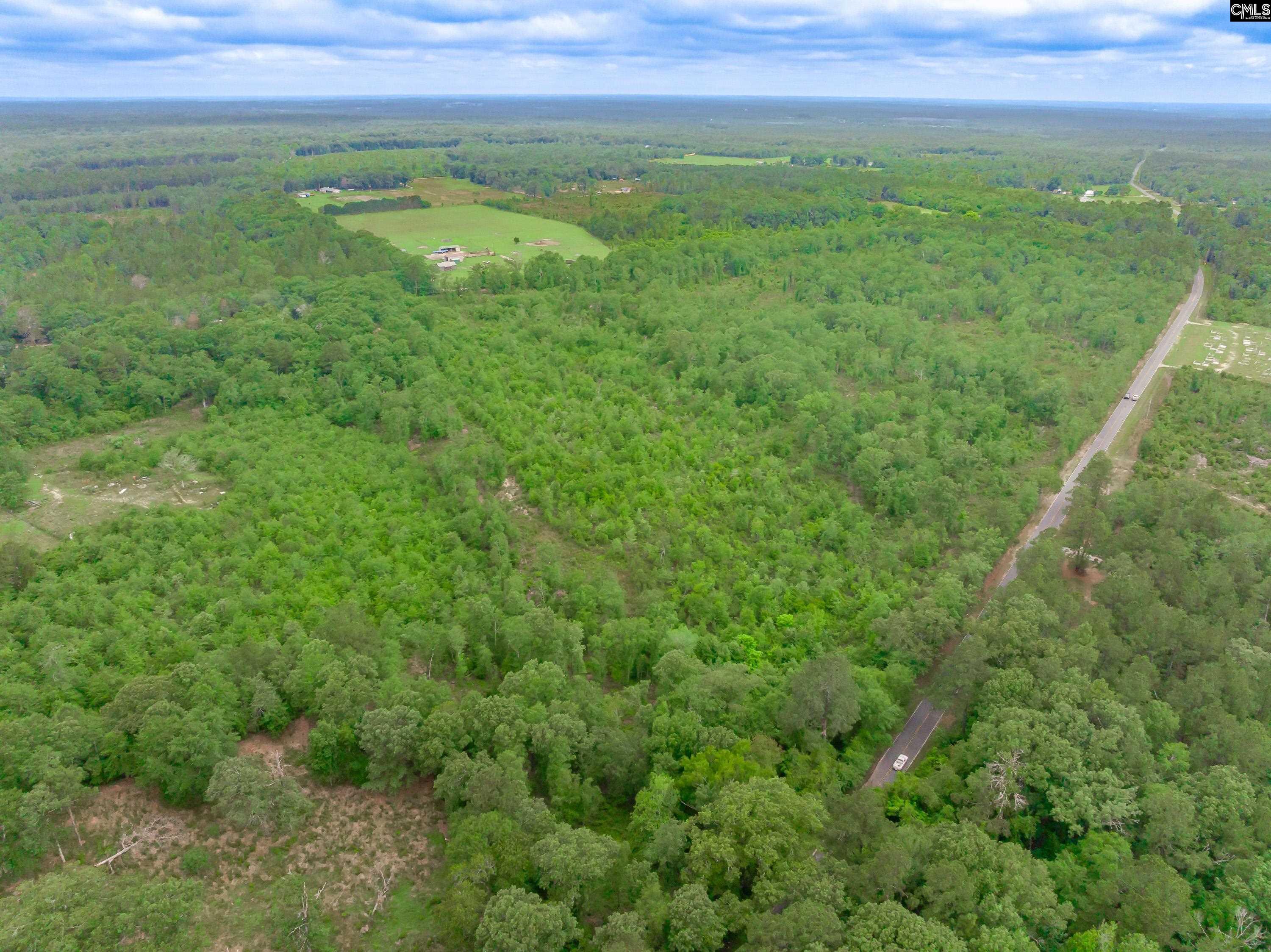 0 Seivern Road Wagener, SC 29164 - Photo 22 of 23