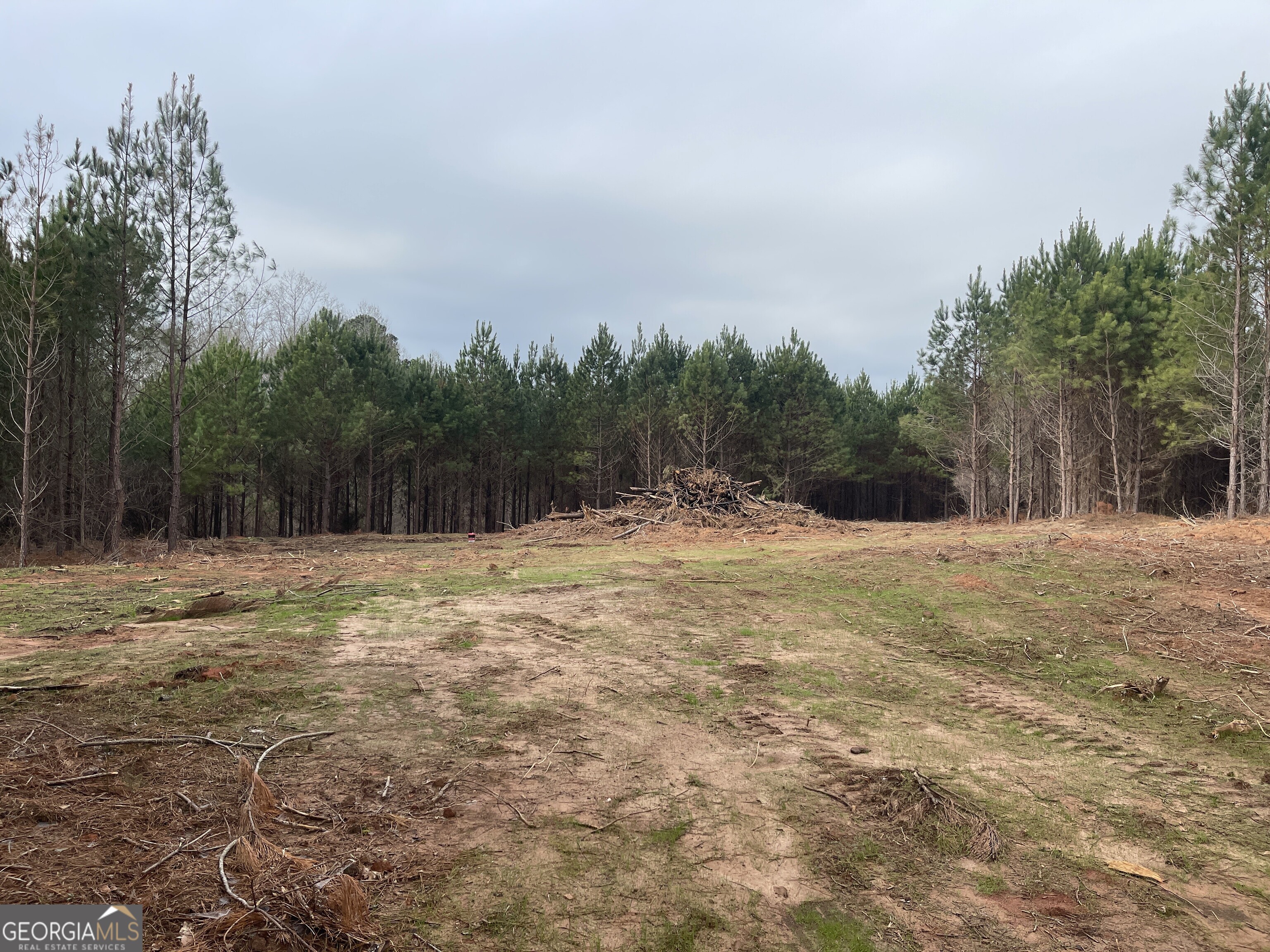0 Bevis Rd Parcel 7 Franklin, GA 30217 - Photo 2 of 5