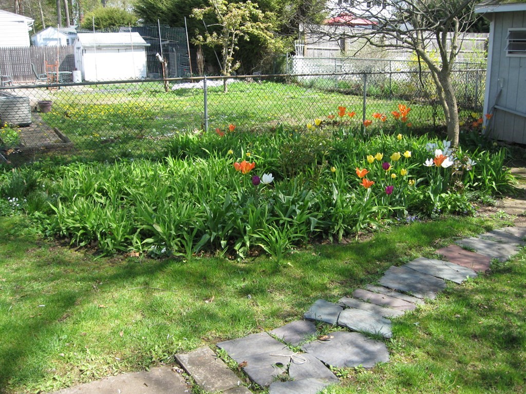 269 West Allen Ridge Road Springfield, MA 01118 - Photo 6 of 25 a view of a backyard
