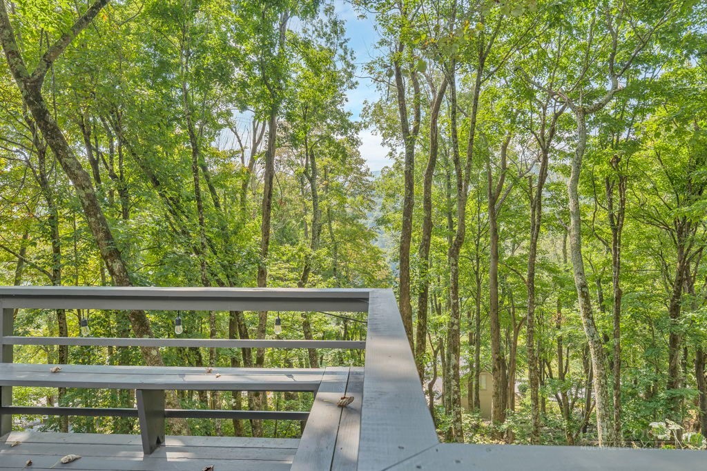 202 Cliffside Lane Seven Devils, NC 28604 - Photo 43 of 48 Gallery Image 43